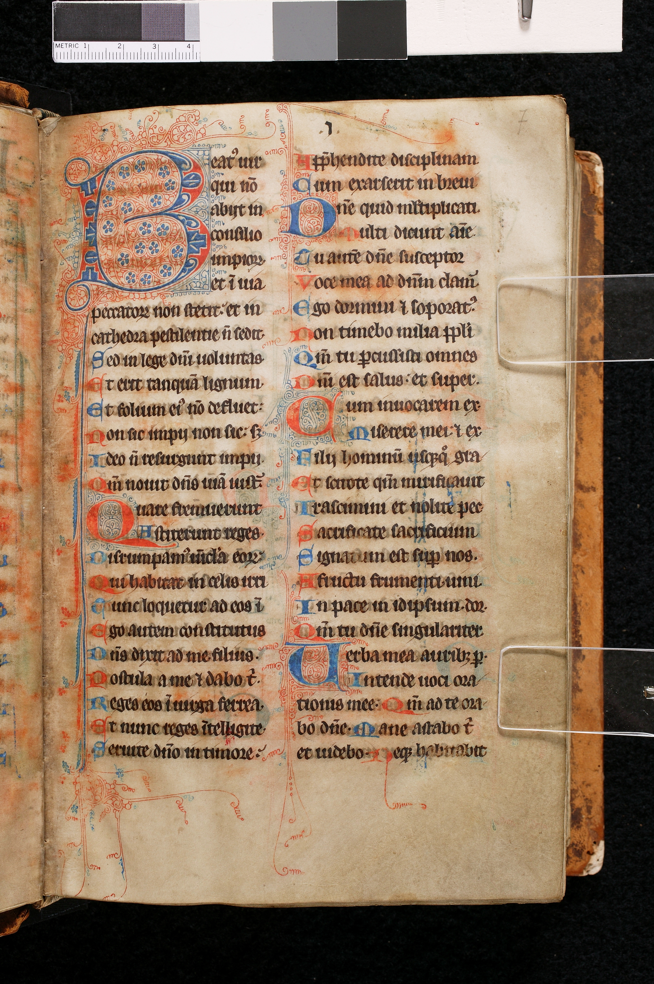 Gothic Textualis, 13th-14th century