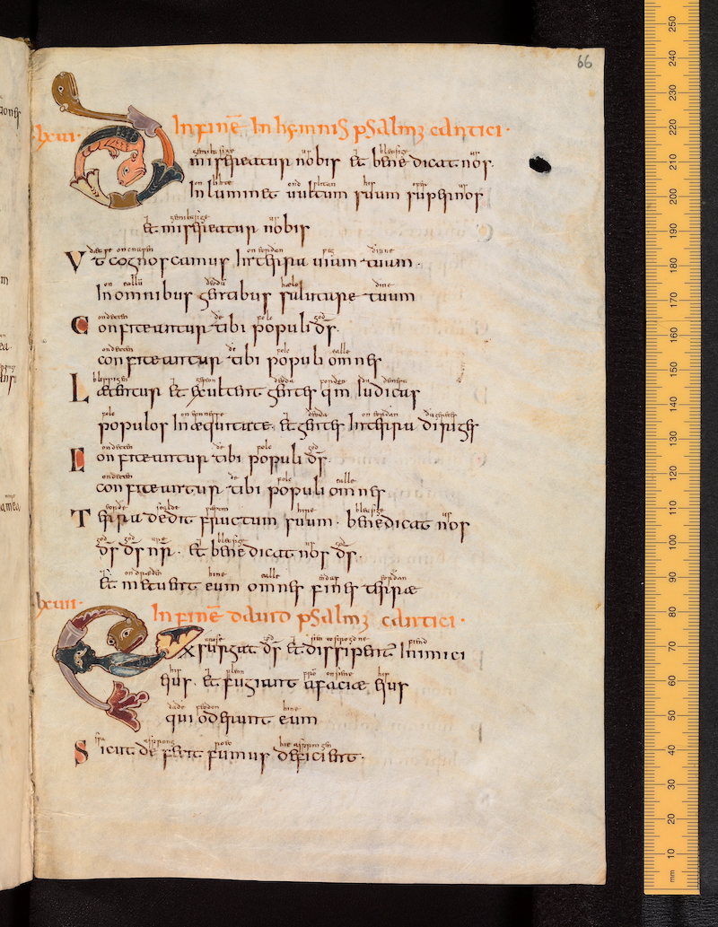 Script - Anglo-Saxon Minuscule